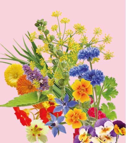 eetbare bloemen - advies welkoop